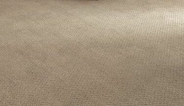 A clean carpet